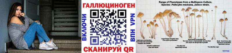 дарнет шоп  Миасс  Псилоцибиновые грибы Magic Shrooms 
