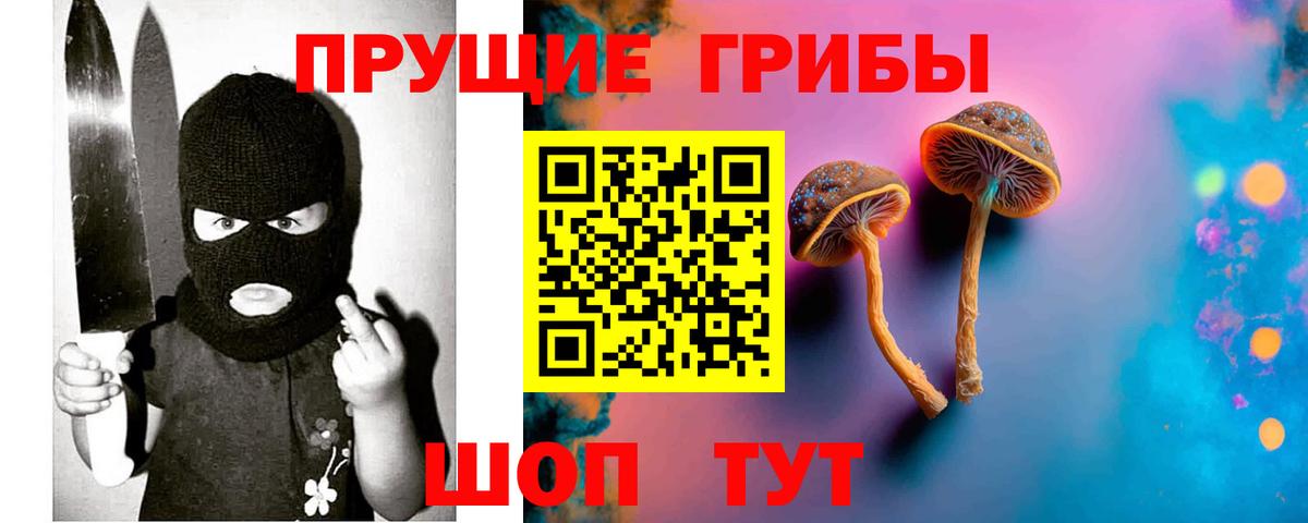 Миасс  купить наркоту  Вход с VPN  Псилоцибиновые грибы мухоморы 