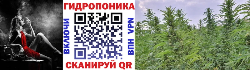 Бошки Шишки планчик  Миасс 